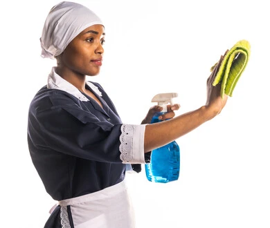 image-61144-portrait-cleaner-wearing-apron-carrying-her-hand-household-thumbnail